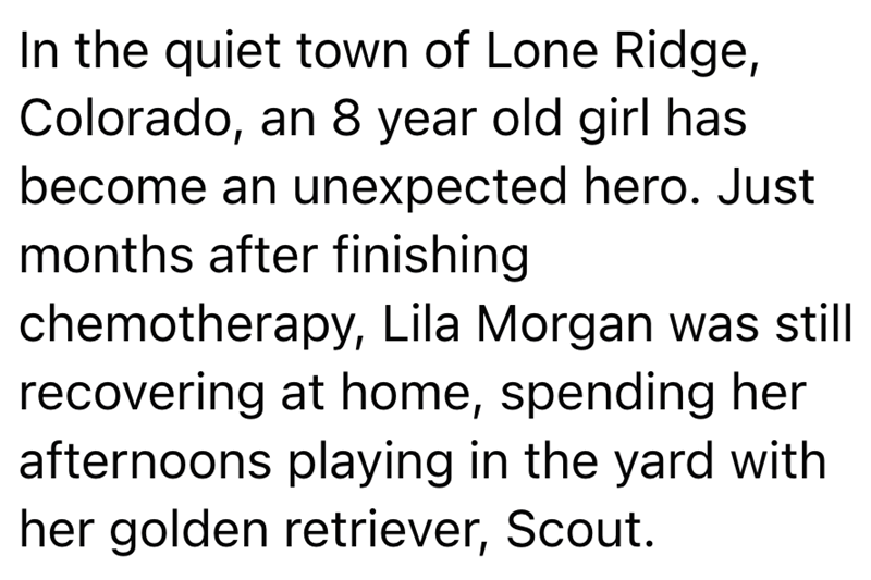 In the quiet town of Lone Ridge, Colorado, an 8 year old girl has become an unexpected hero. Just months after finishing chemotherapy, Lila Morgan was still recovering at home, spending her afternoons playing in the yard with her golden retriever, Scout.
