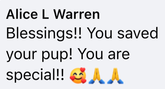 Alice L Warren Blessings!! You saved your pup! You are special!! AA