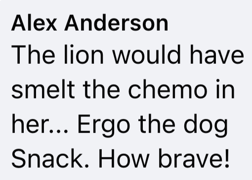 Alex Anderson The lion would have smelt the chemo in her... Ergo the dog Snack. How brave!