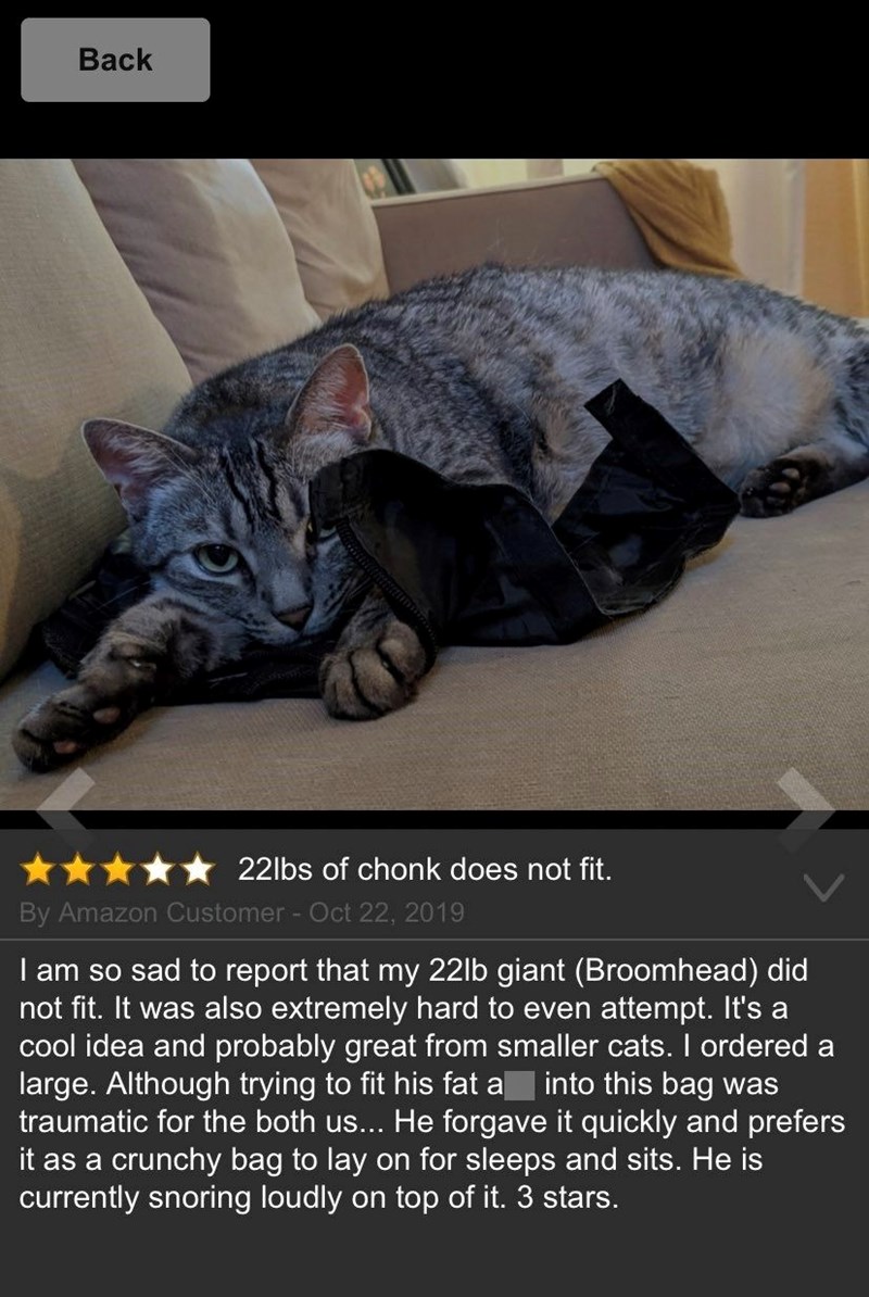 Back 22lbs of chonk does not fit. By Amazon Customer - Oct 22, 2019 I am so sad to report that my 22lb giant (Broomhead) did not fit. It was also extremely hard to even attempt. It's a cool idea and probably great from smaller cats. I ordered a large. Although trying to fit his fat a into this bag was traumatic for the both us... He forgave it quickly and prefers it as a crunchy bag to lay on for sleeps and sits. He is currently snoring loudly on top of it. 3 stars.