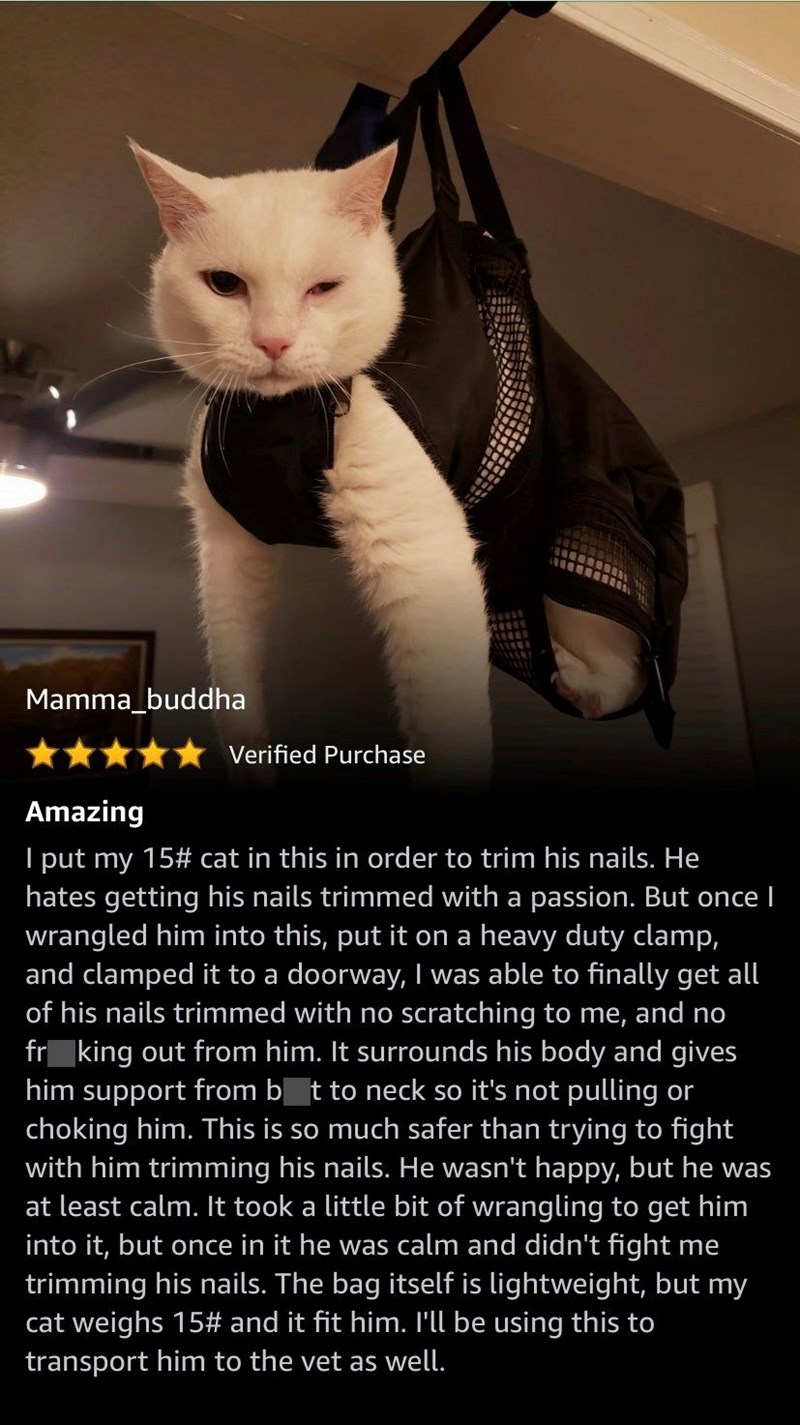 Mamma_buddha Verified Purchase Amazing I put my 15# cat in this in order to trim his nails. He hates getting his nails trimmed with a passion. But once I wrangled him into this, put it on a heavy duty clamp, and clamped it to a doorway, I was able to finally get all of his nails trimmed with no scratching to me, and no fr_king out from him. It surrounds his body and gives him support from bot to neck so it's not pulling or choking him. This is so much safer than trying to fight with him trimming