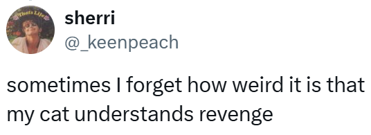 Thats sherri @_keenpeach sometimes I forget how weird it is that my cat understands revenge