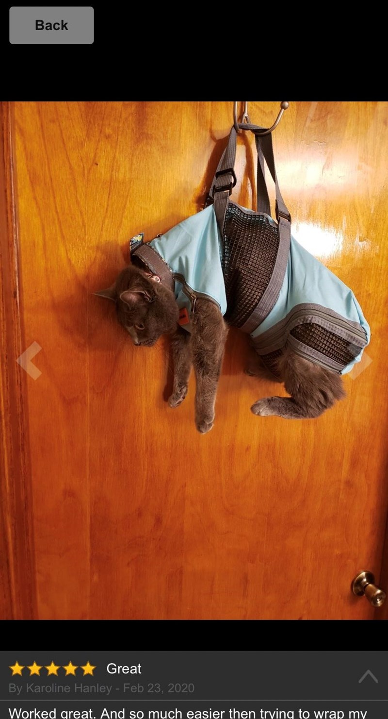 Back Great By Karoline Hanley - Feb 23, 2020 Worked great. And so much easier then trying to wrap my