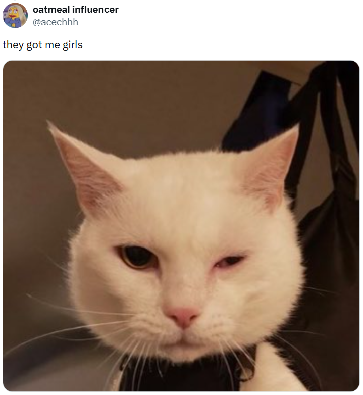 oatmeal influencer @acechhh they got me girls