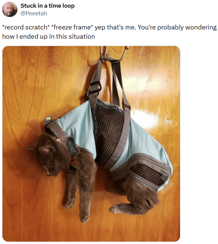 Stuck in a time loop @Peeetah *record scratch* *freeze frame* yep that's me. You're probably wondering how I ended up in this situation