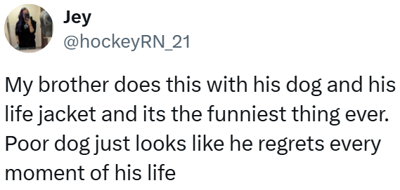Jey @hockeyRN_21 My brother does this with his dog and his life jacket and its the funniest thing ever. Poor dog just looks like he regrets every moment of his life