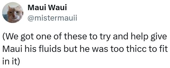 Maui Waui @mistermauii (We got one of these to try and help give Maui his fluids but he was too thicc to fit in it)