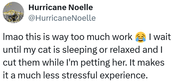 Hurricane Noelle @HurricaneNoelle Imao this is way too much work I wait until my cat is sleeping or relaxed and I cut them while I'm petting her. It makes it a much less stressful experience.