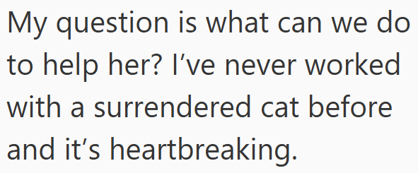 My question is what can we do to help her? I've never worked with a surrendered cat before and it's heartbreaking.