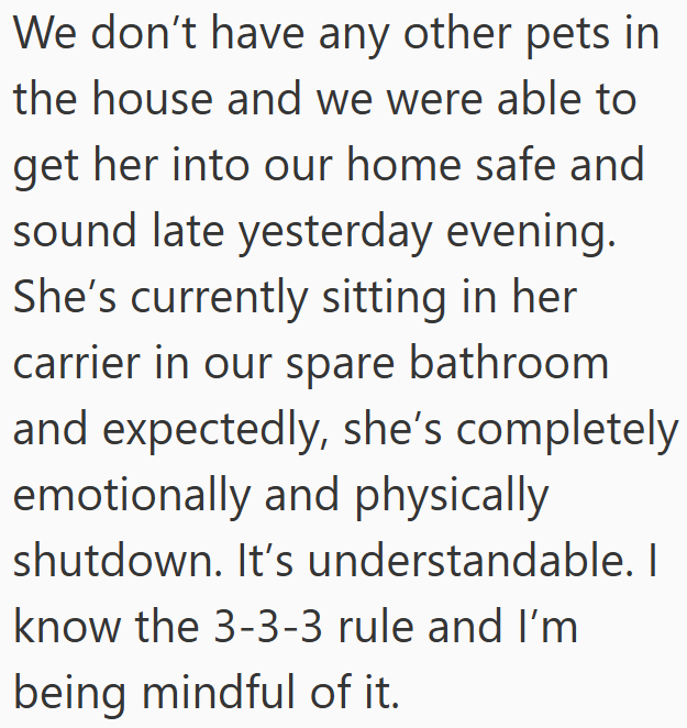 We don't have any other pets in the house and we were able to get her into our home safe and sound late yesterday evening. She's currently sitting in her carrier in our spare bathroom and expectedly, she's completely emotionally and physically shutdown. It's understandable. I know the 3-3-3 rule and I'm being mindful of it.
