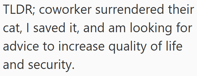 TLDR; coworker surrendered their cat, I saved it, and am looking for advice to increase quality of life and security.