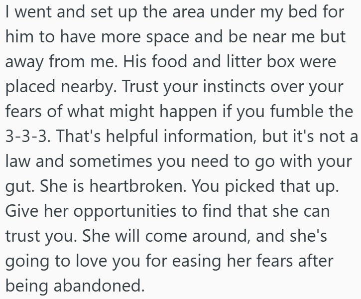 I went and set up the area under my bed for him to have more space and be near me but away from me. His food and litter box were placed nearby. Trust your instincts over your fears of what might happen if you fumble the 3-3-3. That's helpful information, but it's not a law and sometimes you need to go with your gut. She is heartbroken. You picked that up. Give her opportunities to find that she can trust you. She will come around, and she's going to love you for easing her fears after being aban