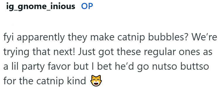 ig_gnome_inious OP fyi apparently they make catnip bubbles? We're trying that next! Just got these regular ones as a lil party favor but I bet he'd go nutso buttso for the catnip kind