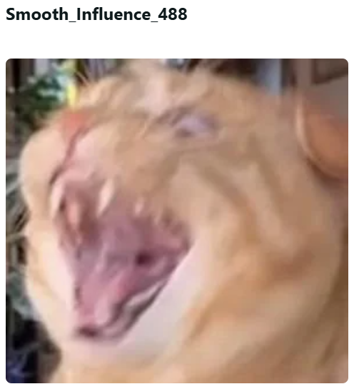 Smooth_Influence_488