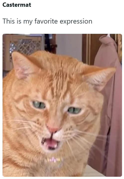 Castermat This is my favorite expression