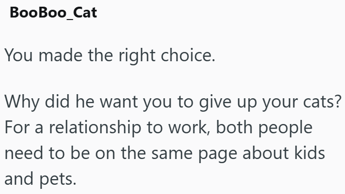 BooBoo_Cat You made the right choice. Why did he want you to give up your cats? For a relationship to work, both people need to be on the same page about kids and pets.
