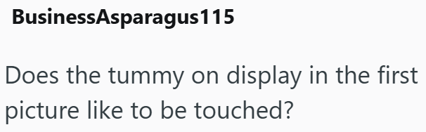 BusinessAsparagus115 Does the tummy on display in the first picture like to be touched?