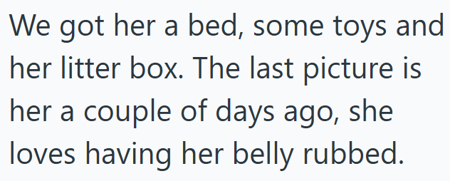 We got her a bed, some toys and her litter box. The last picture is her a couple of days ago, she loves having her belly rubbed.