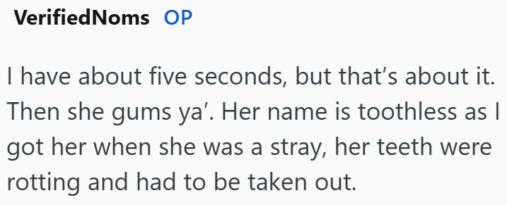 VerifiedNoms OP I have about five seconds, but that's about it. Then she gums ya'. Her name is toothless as I got her when she was a stray, her teeth were rotting and had to be taken out.