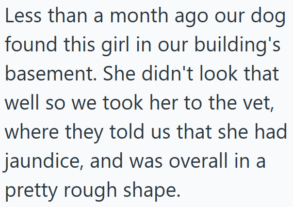 Less than a month ago our dog found this girl in our building's basement. She didn't look that well so we took her to the vet, where they told us that she had jaundice, and was overall in a pretty rough shape.