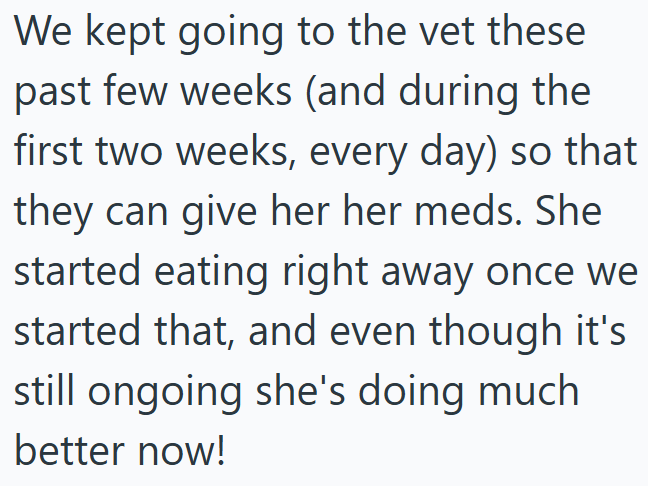 We kept going to the vet these past few weeks (and during the first two weeks, every day) so that they can give her her meds. She started eating right away once we started that, and even though it's still ongoing she's doing much better now!
