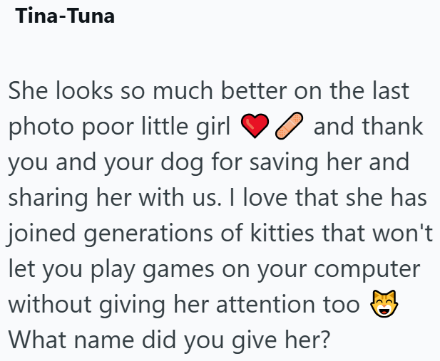 Tina-Tuna She looks so much better on the last ◇ and thank photo poor little girl you and your dog for saving her and sharing her with us. I love that she has joined generations of kitties that won't let you play games on your computer without giving her attention too What name did you give her?