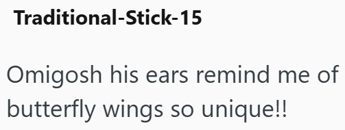 Traditional-Stick-15 Omigosh his ears remind me of butterfly wings so unique!!