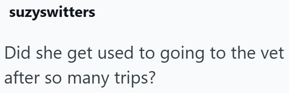 suzyswitters Did she get used to going to the vet after so many trips?