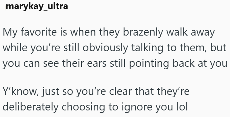marykay_ultra My favorite is when they brazenly walk away while you're still obviously talking to them, but you can see their ears still pointing back at you Y'know, just so you're clear that they're deliberately choosing to ignore you lol