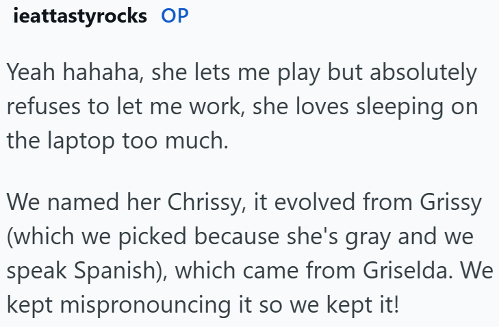 ieattastyrocks OP Yeah hahaha, she lets me play but absolutely refuses to let me work, she loves sleeping on the laptop too much. We named her Chrissy, it evolved from Grissy (which we picked because she's gray and we speak Spanish), which came from Griselda. We kept mispronouncing it so we kept it!