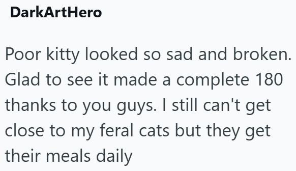 DarkArtHero Poor kitty looked so sad and broken. Glad to see it made a complete 180 thanks to you guys. I still can't get close to my feral cats but they get their meals daily
