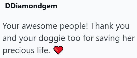 DDiamondgem Your awesome people! Thank you and your doggie too for saving her precious life.