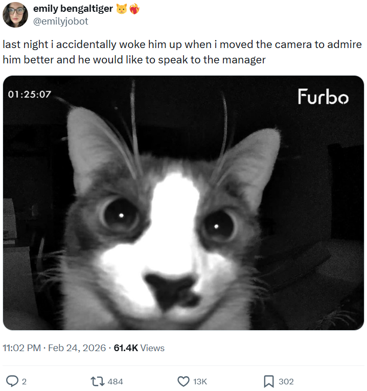 emily bengaltiger @emilyjobot last night i accidentally woke him up when i moved the camera to admire him better and he would like to speak to the manager 01:25:07 11:02 PM. Feb 24, 2026 61.4K Views 2 484 13K 302 Furbo