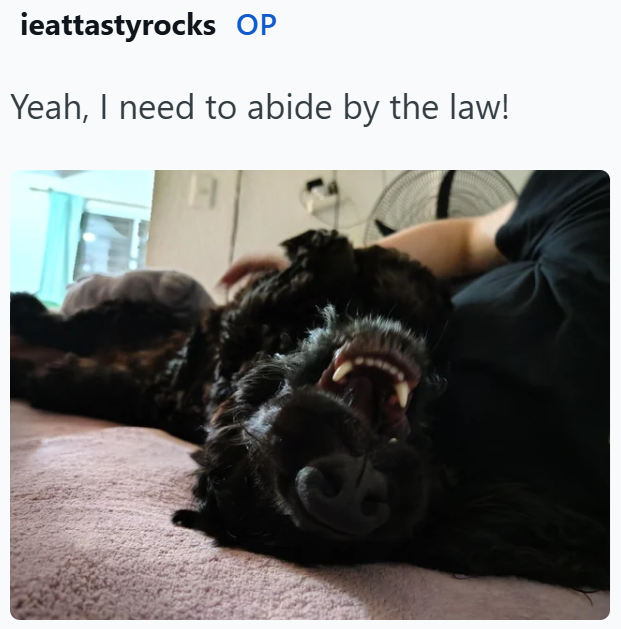 ieattastyrocks OP Yeah, I need to abide by the law!