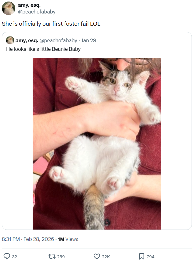 amy, esq. @peachofababy She is officially our first foster fail LOL amy, esq. @peachofababy - Jan 29 He looks like a little Beanie Baby 8:31 PM - Feb 28, 2026 - 1M Views 32 1259 22K ☐ 794