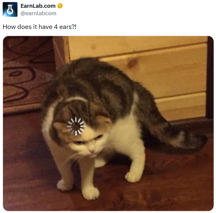 க EarnLab.com @earnlabcom How does it have 4 ears?!