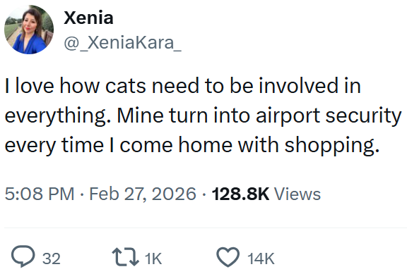 Xenia @_XeniaKara_ I love how cats need to be involved in everything. Mine turn into airport security every time I come home with shopping. 5:08 PM ⚫ Feb 27, 2026 128.8K Views ◇ 32 21K 14K