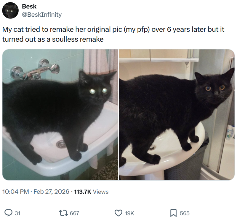 Besk @BeskInfinity My cat tried to remake her original pic (my pfp) over 6 years later but it turned out as a soulless remake 10:04 PM • Feb 27, 2026 113.7K Views 31 17667 19K 565