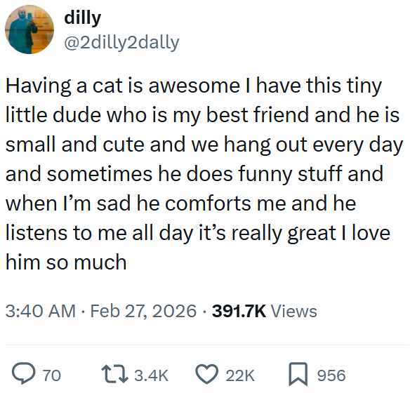 dilly @2dilly2dally Having a cat is awesome I have this tiny little dude who is my best friend and he is small and cute and we hang out every day and sometimes he does funny stuff and when I'm sad he comforts me and he listens to me all day it's really great I love him so much 3:40 AM Feb 27, 2026 391.7K Views ◇ 70 13.4K 22K 956