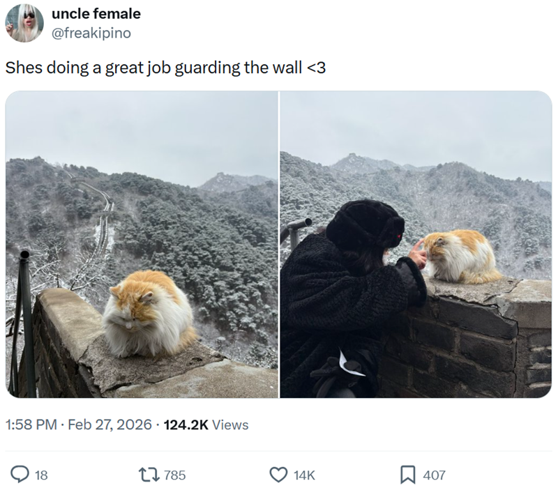 uncle female @freakipino Shes doing a great job guarding the wall <3 1:58 PM - Feb 27, 2026 124.2K Views 18 17785 14K ☐ 407