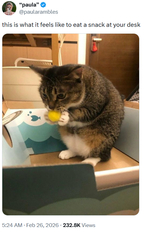 "paula" @paularambles this is what it feels like to eat a snack at your desk . . 5:24 AM • Feb 26, 2026 232.8K Views