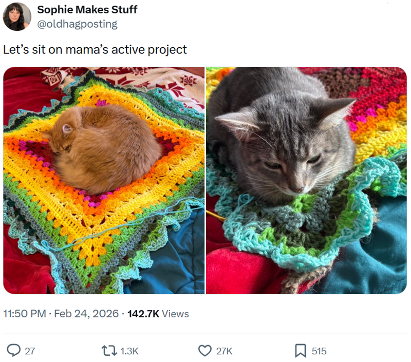 Sophie Makes Stuff @oldhagposting Let's sit on mama's active project 11:50 PM - Feb 24, 2026 142.7K Views 27 11.3K 27K 515