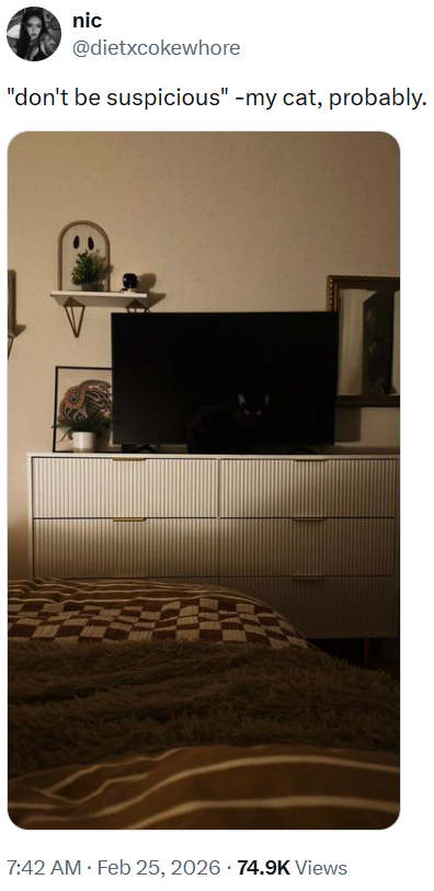 nic @dietxcokewhore "don't be suspicious" -my cat, probably. 7:42 AM ⚫ Feb 25, 2026 74.9K Views