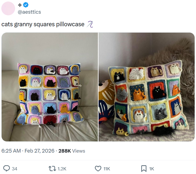 @aesttics cats granny squares pillowcase e 6:25 AM - Feb 27, 2026 - 288K Views 34 1.2K 11K ធ 1K
