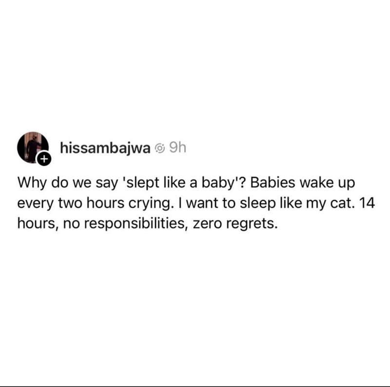 + hissambajwa 9h Why do we say 'slept like a baby'? Babies wake up every two hours crying. I want to sleep like my cat. 14 hours, no responsibilities, zero regrets.