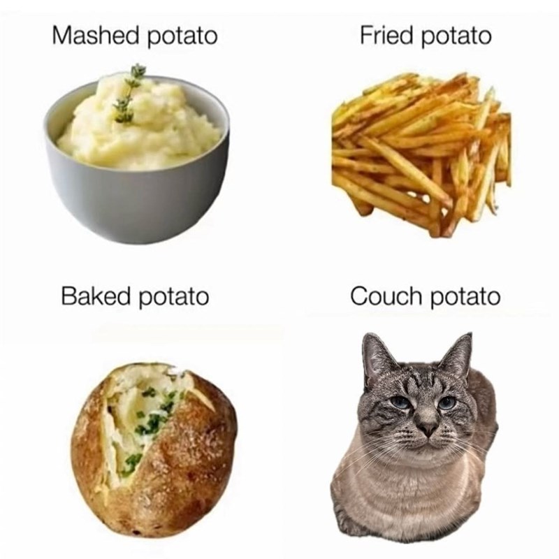 Mashed potato Fried potato Baked potato Couch potato