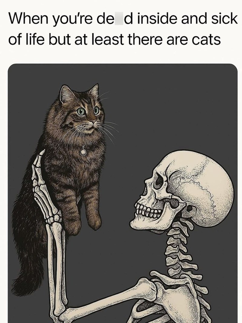When you're de d inside and sick of life but at least there are cats