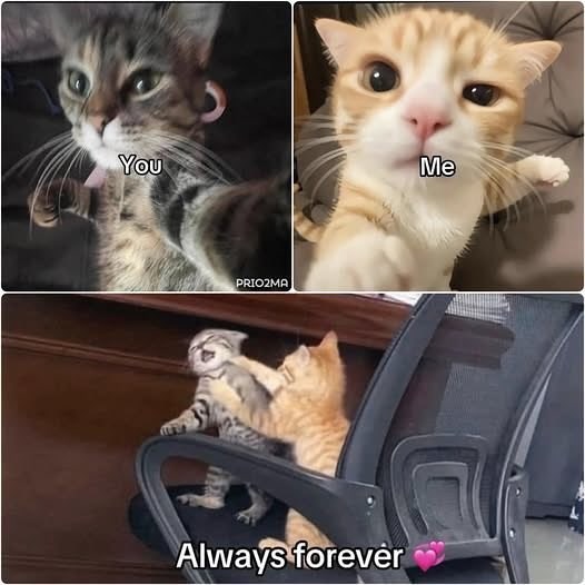 You PRIO2MA Always forever Me