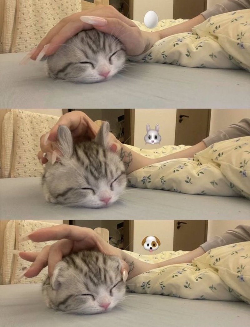 Cheezburger Image 10610863616