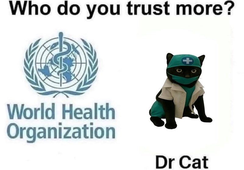 Who do you trust more? World Health Organization Dr Cat